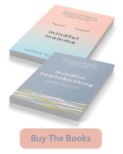 Mindful Hypnobirthing Book